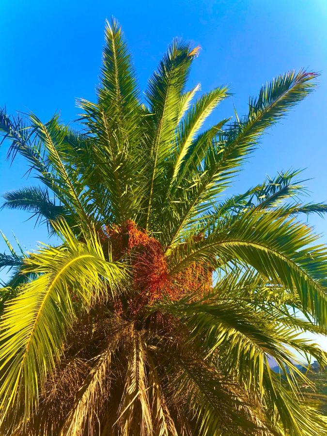 Finca La Sabina Risco Blanco ภายนอก รูปภาพ